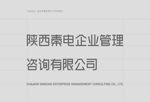 秦電企業(yè)管理咨詢(xún)企業(yè)形象設(shè)計(jì)