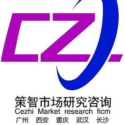 咨詢服務(wù) 長沙策智市場調(diào)研公司
