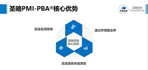 圣略咨詢 項目管理中一項至關重要的能力 商業(yè)分析